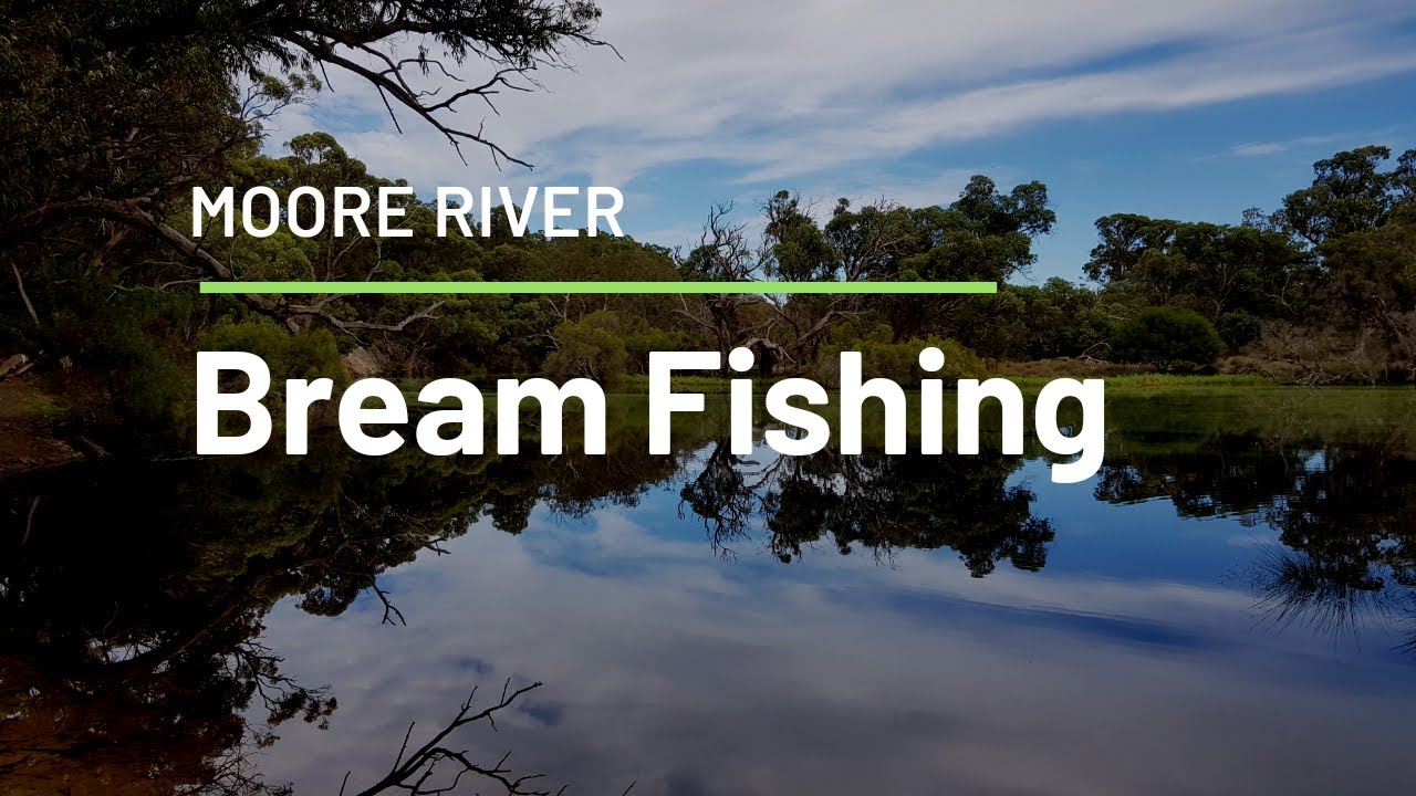 Moore River Black Bream Fishing 4K Footage!!! Fishing with Family (#perthbreamfishing #breamfishing)