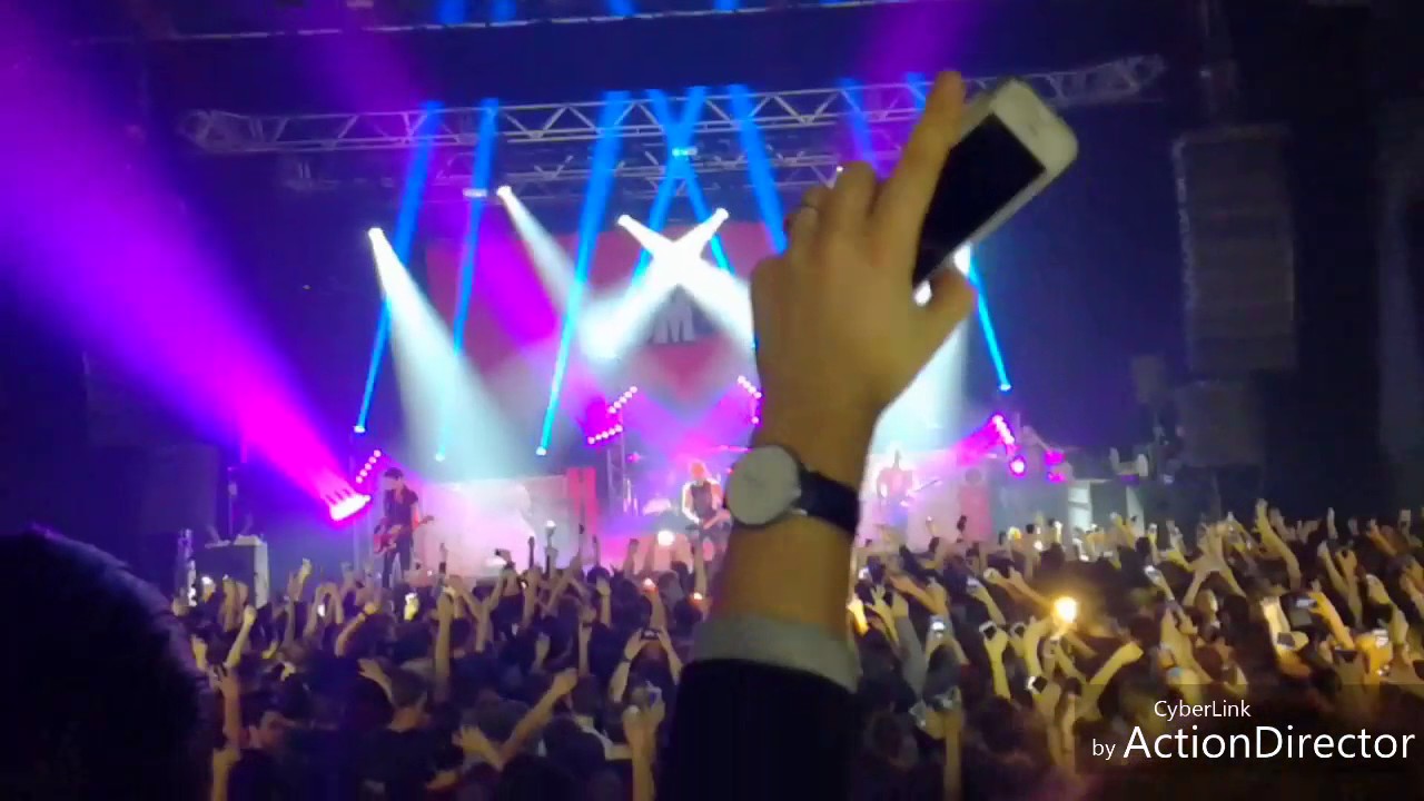 Sum 41-le transbordeur 26/01/2017 (Lyon) France
