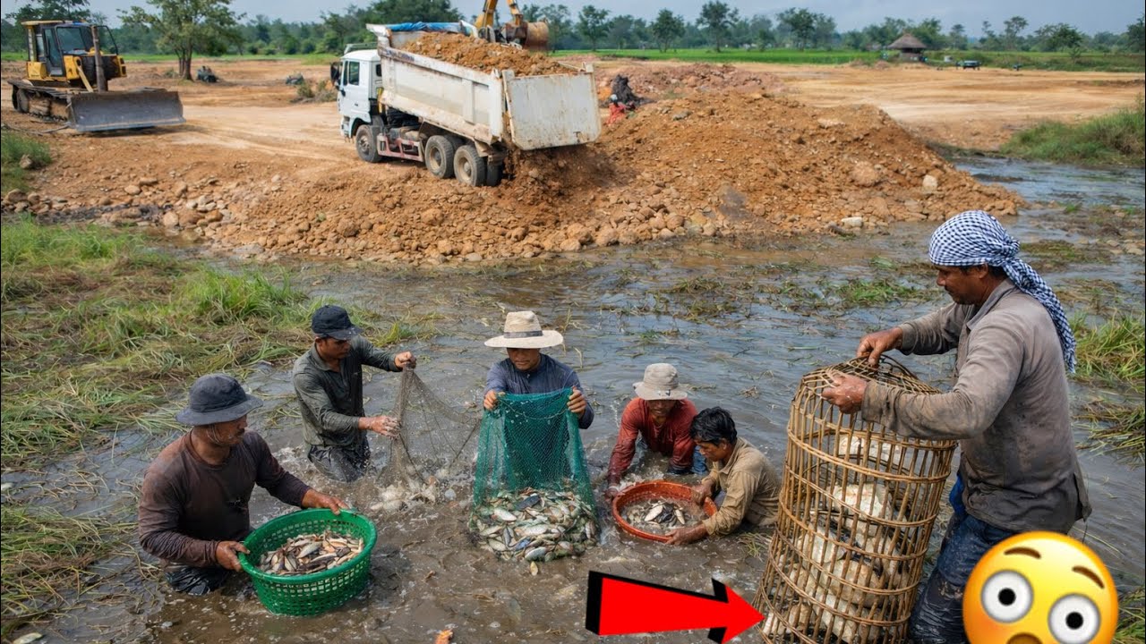 Wonderful Teamwork Huge Project Landfill by 25ton Dump Truck with Power Komatsu Bulldozer Pushing 