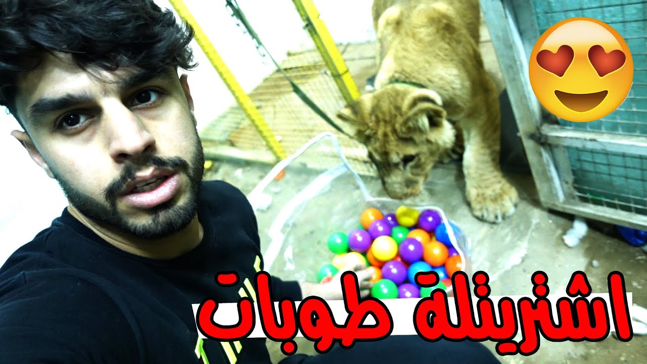 فضيحة البلدية تهدم منازل المواطنين والمحلات 🤯 ليو هجم علية 