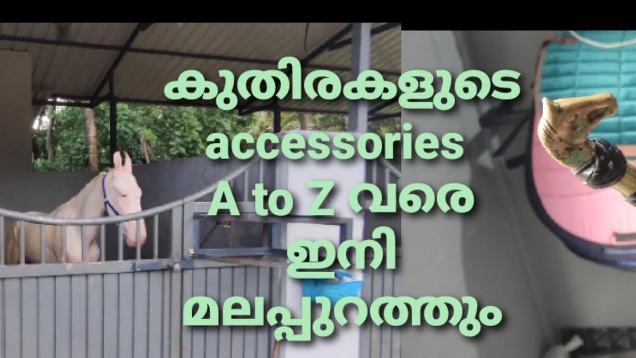 കുതിരകളുടെ accessories A to Z വരെ ഇനി മലപ്പുറത്തും/horse accessories/#horse kerala,#horseaccessories