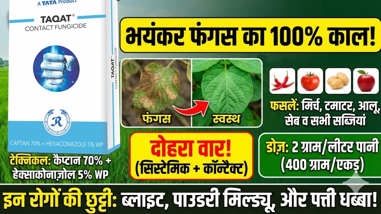 टाटा ताकत Tata Taqat फफूंदनाशक की पूरी जानकारी Dose, Crops  Result Best Fungicide