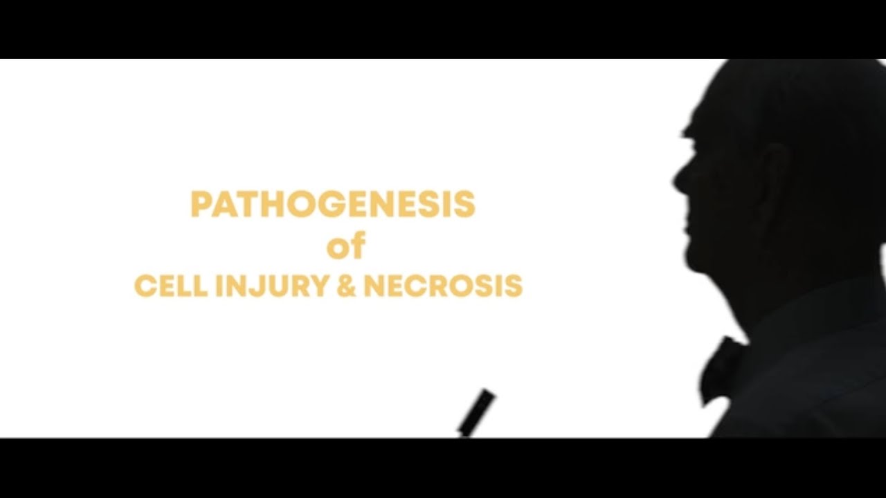 Dr. Hardwick: Pathogenesis of Cell Injury & Necrosis 