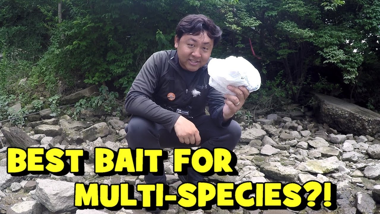 Fishing the RIVER With One of the BEST BAITS Out There! (INTERESTING Catches!)