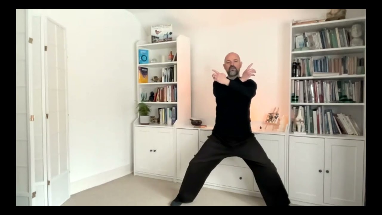 8 Pieces of Brocade - Shaolin Cosmos Qigong