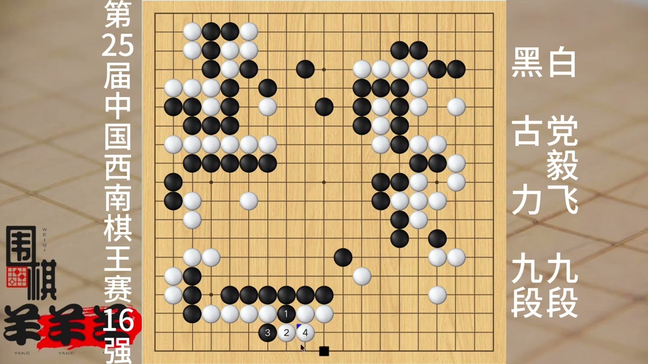 中國西南棋王賽16強古力vs黨毅飛，黑棋強力沖擊白棋針鋒相對 #棋 #人生如棋 #休閑娛樂 #益智游戲 #不按套路出牌