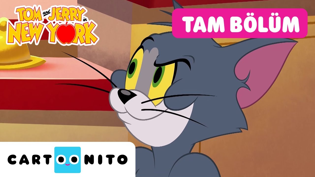 TOM VE JERRY NEW YORK'TA | Çok Fazla Maymın sorunu | TAM BÖLÜM | @CartoonitoTurkiye