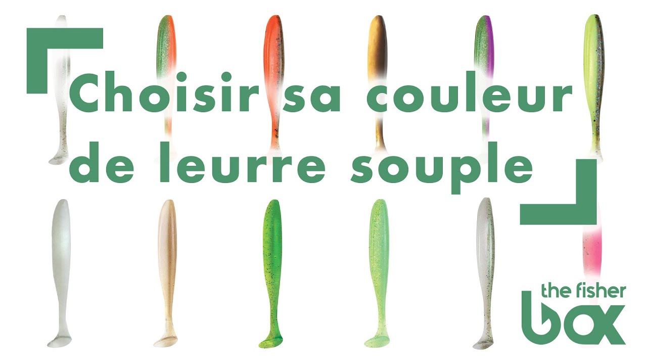 Comment choisir sa COULEUR de leurre souple