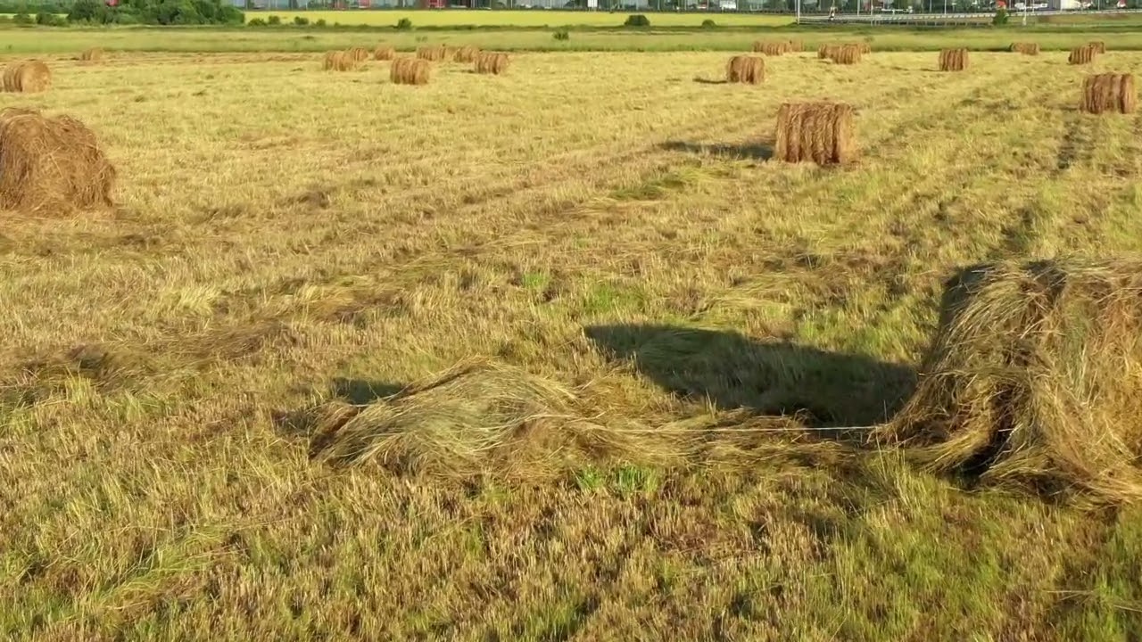 Sống Thức Tỉnh