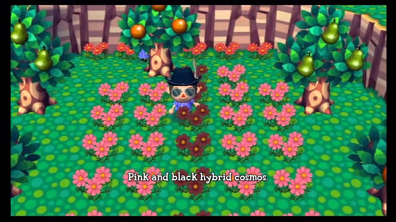 Farewell to Seawell - The Town Tour [Animal Crossing: City Folk]