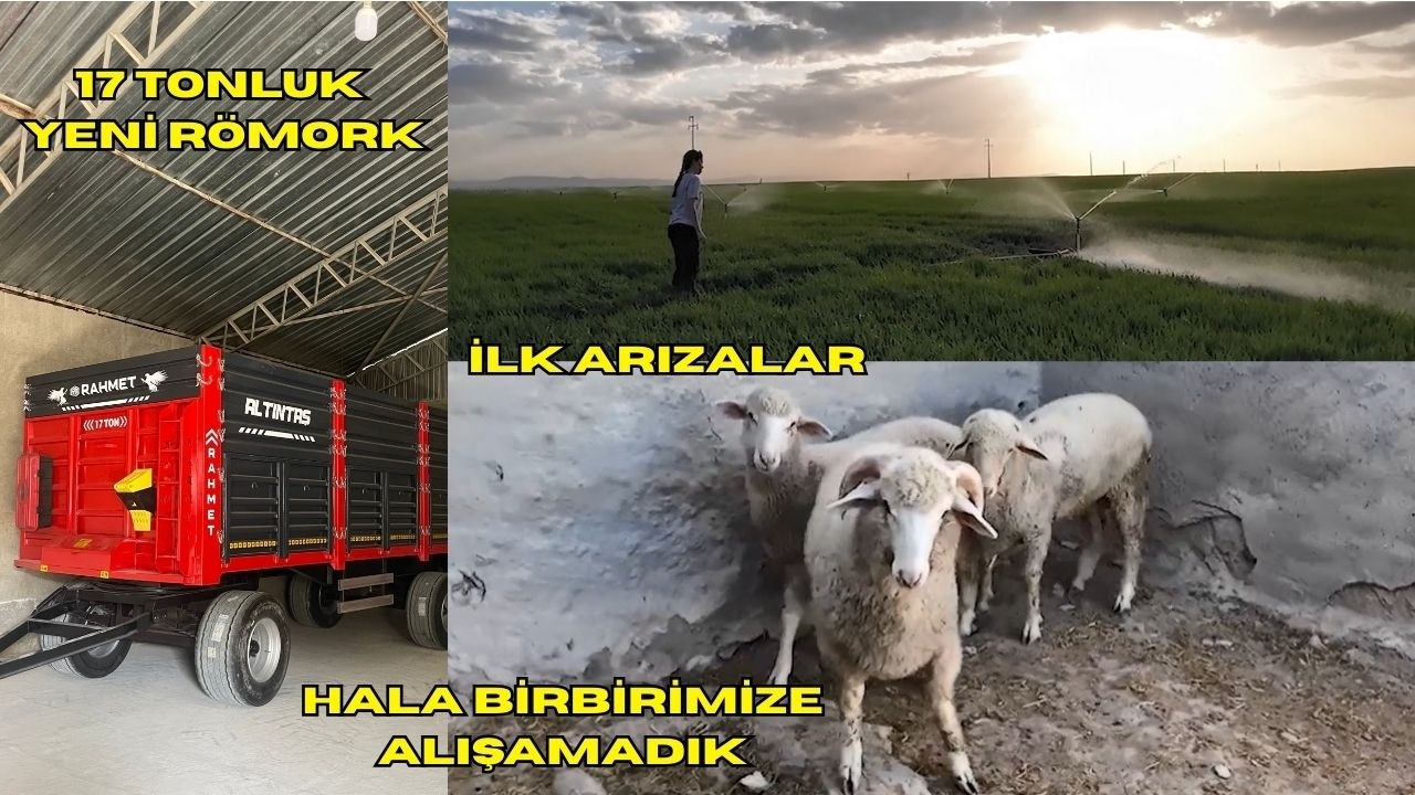 ŞEHİRDEN KÖYE UZANAN VLOG|| 17 Tonluk yeni römork-Buğday suyuna başladık