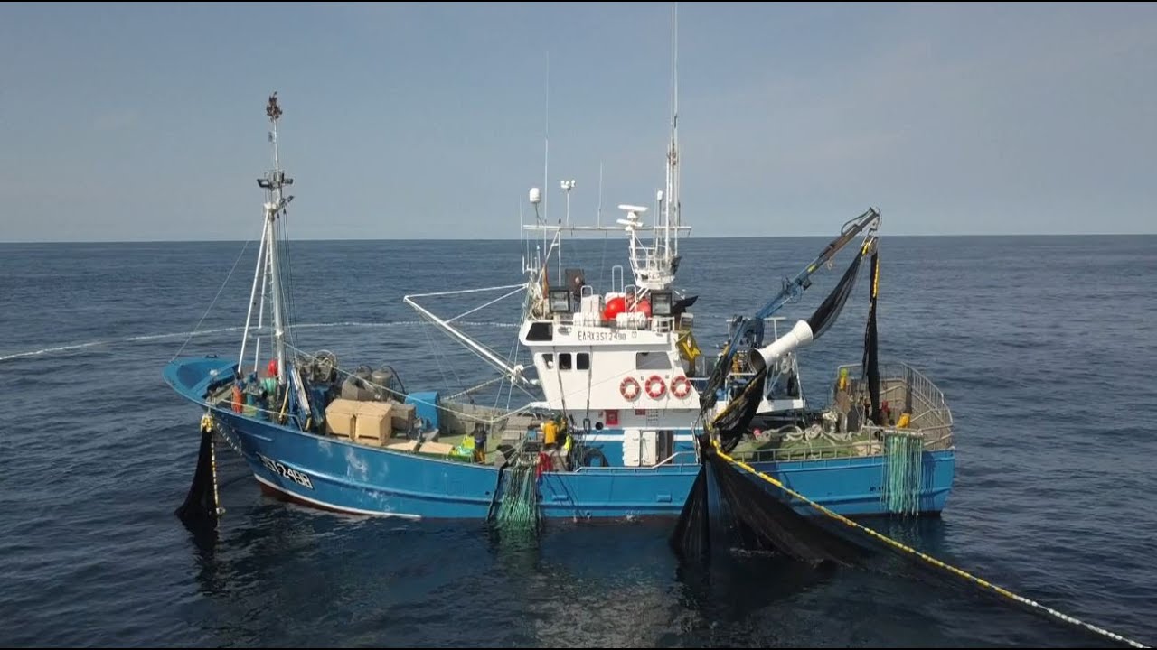 Pesca de Bocarte 