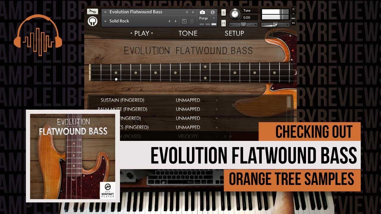 Checking Out: Evolution Flatwound Bass by Orange Tree Samples