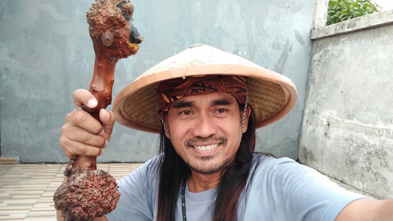 TONTONAN JADI TUNTUNAN  sedang live sekarang!