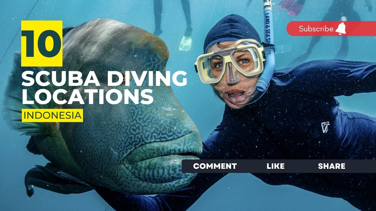 [2023] Indonesia Dive Sites That Will Blow Your Mind: Our Top 10 Scuba Diving Locations