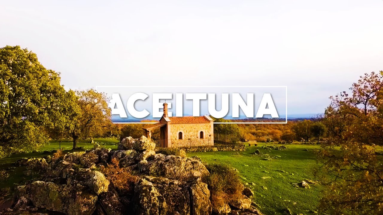 Localidad de Aceituna