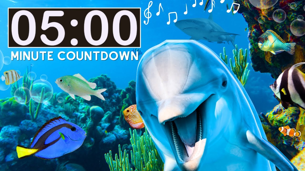 Relaxing Nature Ocean | 5 Minute Countdown Kids Timer | Water Unit | Classroom Management