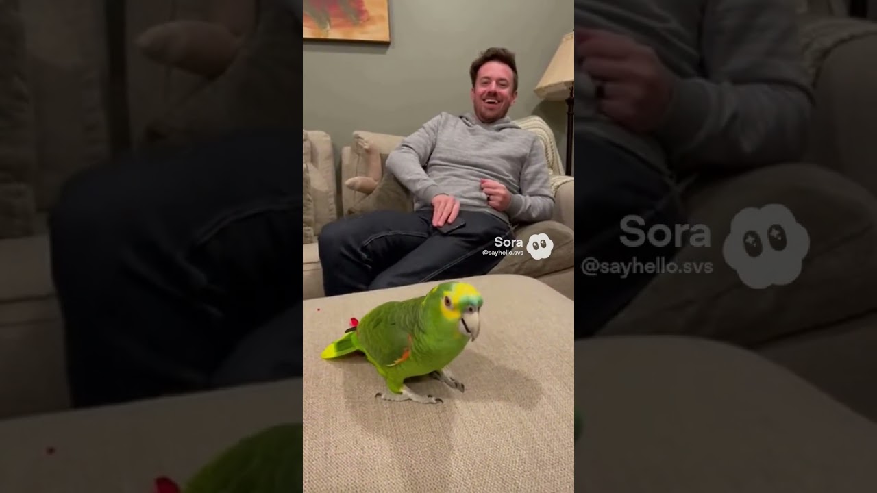 Коко ужасно напугала кошку, лол 😝