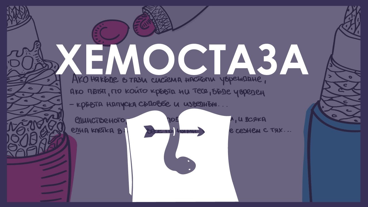 Физиология | Гемостаз (спонтанное свертывание крови)