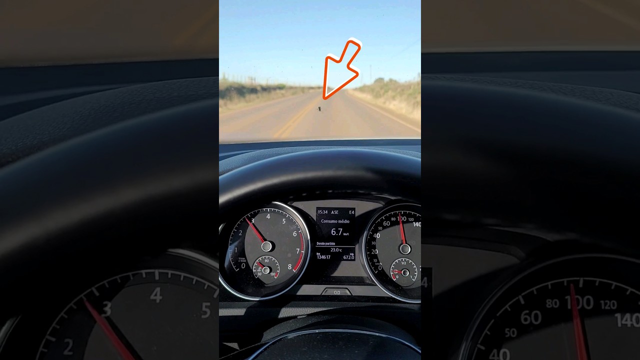 200 km/h ? Vespa Fica Grudada no Para Brisas