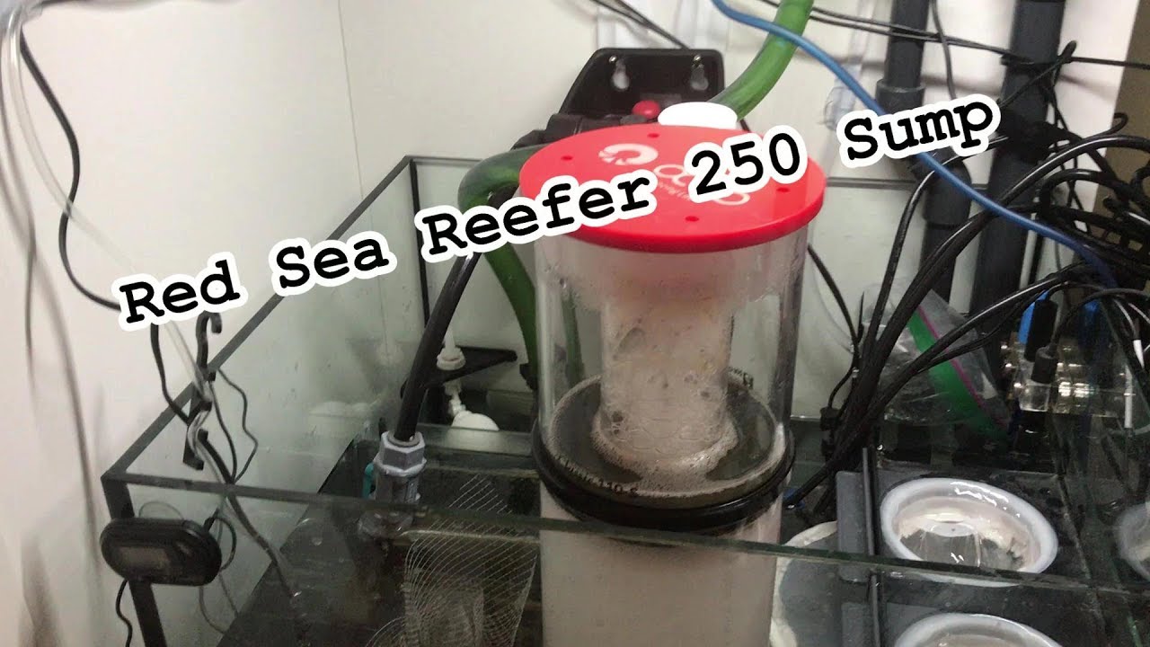 Red Sea Reefer 250 Sump update! Reef octopus varios 4, Reef octopus protein skimmer, and more!