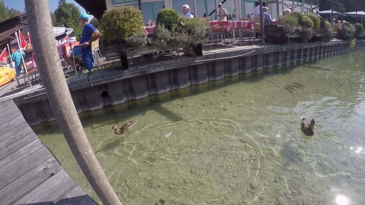 Ein Tag am Wörthsee