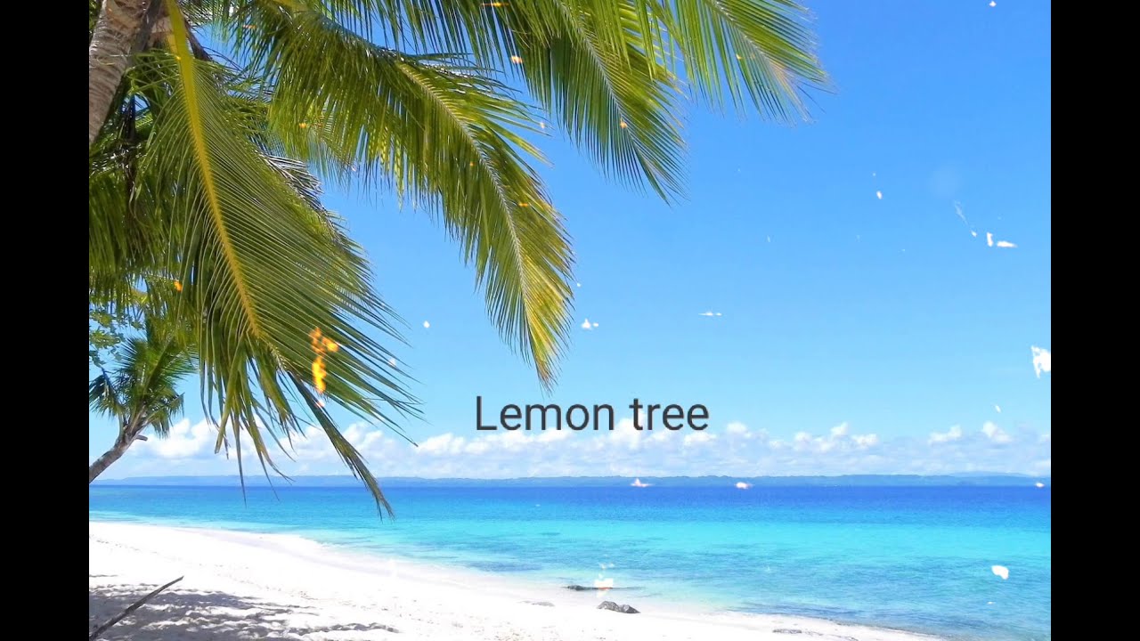 Lemon tree cover by Will Jay The Voice of China season 4 full audio blind audition