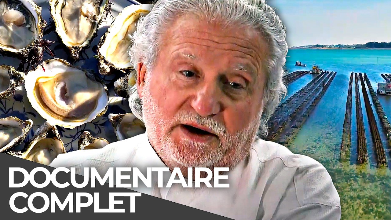 Les Secrets de l’Huître : Qu’est-ce qui la rend si précieuse ? | Documentaire Français