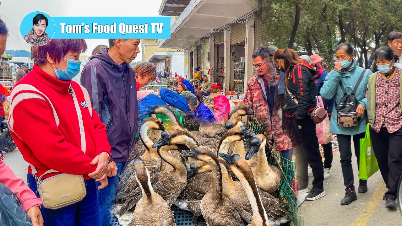 Traditional Market Day in Guangdong, China: Lively Chickens, Ducks & Geese in a Rural Market