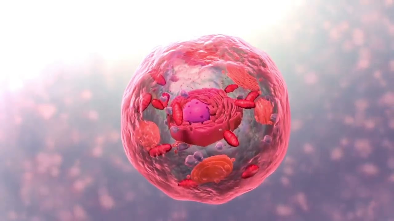 Funzionamento della cellula in 3D (biologia)