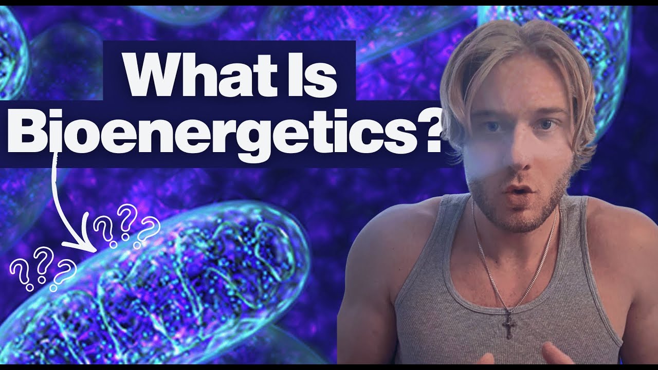 What Is Bionergetics?