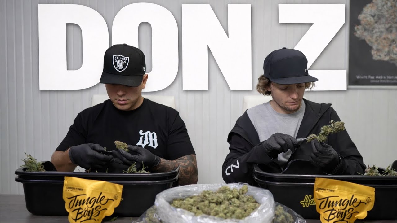 The Birth of DON Z | From Clone to Gold Mylar