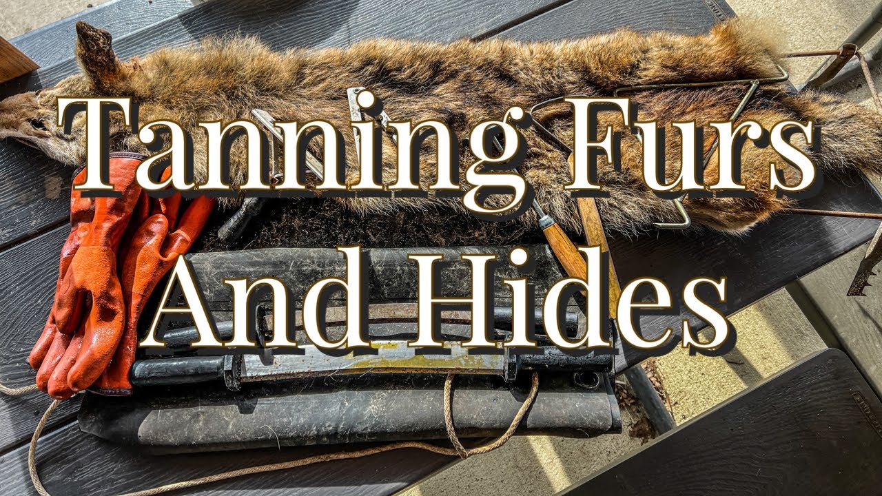 Tanning Furs Part 1