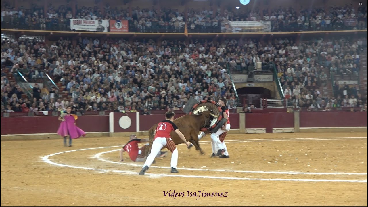 Concurso de roscaderos Zaragoza 10/10/2025 - GALLUR - HD