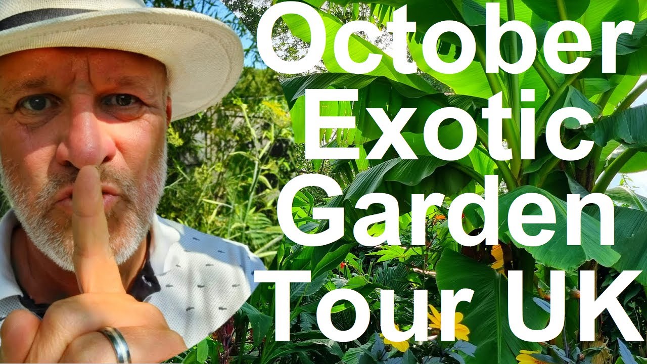 Tropical Gardens UK:  Exotic Garden October Tour