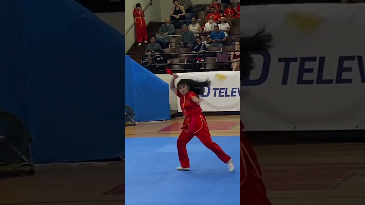 11 Chain Whip Kung Fu Competition in NY #shorts #ad
