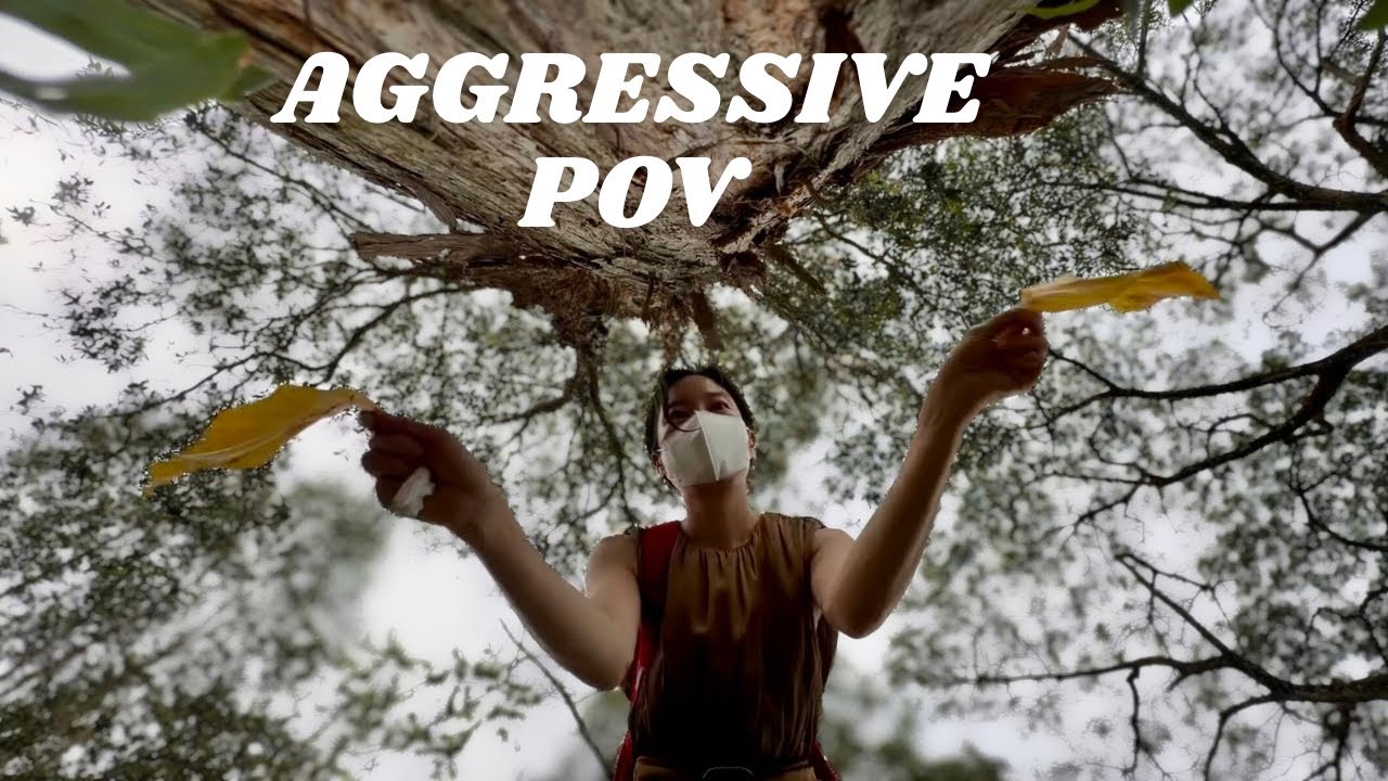 AGGRESSIVE POV ASMR 🌿 | Fast & Aggressive Lofi Triggers