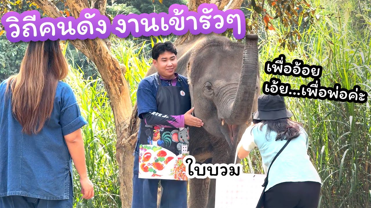 ตามติดชีวิตช้าง Daily Live 5 ก.พ. 2568 แอดมินมาไลฟ์ชดเชยให้ช่วงบ่ายแทนนะจ๊ะ
