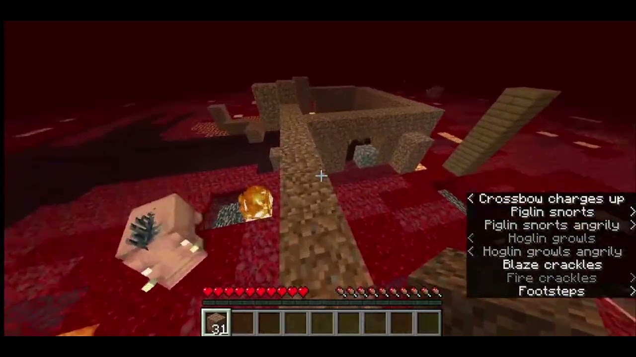 Minecraft, But It's One Block Thick