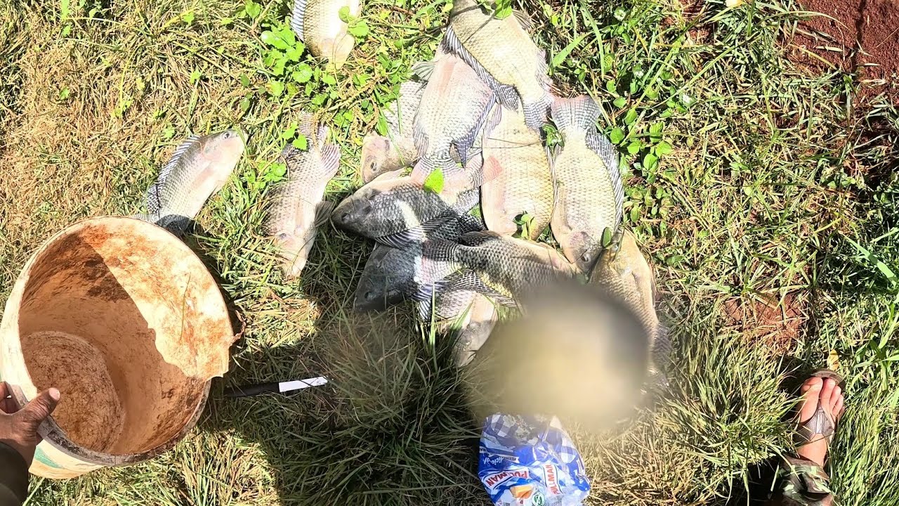MINHA BÓIA NÃO PARA QUIETA NESSE LUGAR E SÓ JOGAR E PEGAR!!!