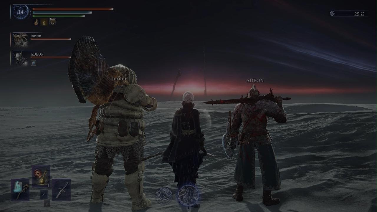 ELDEN RING NIGHTREIGN Fulghor