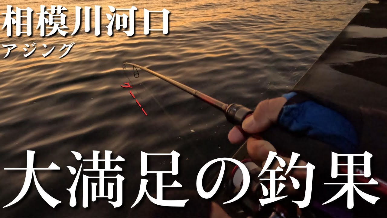 【相模川河口】3日連続で同じ場所、同じ時間で釣りをした結果、、、アジング初心者【2025年12月17～19日】