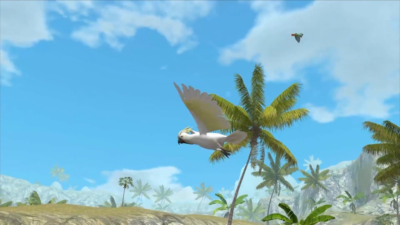 Cockatoo Parrot Simulator Wild Bird Survival !Ultimate Bird Simulator  By Gluten Free Classic Games