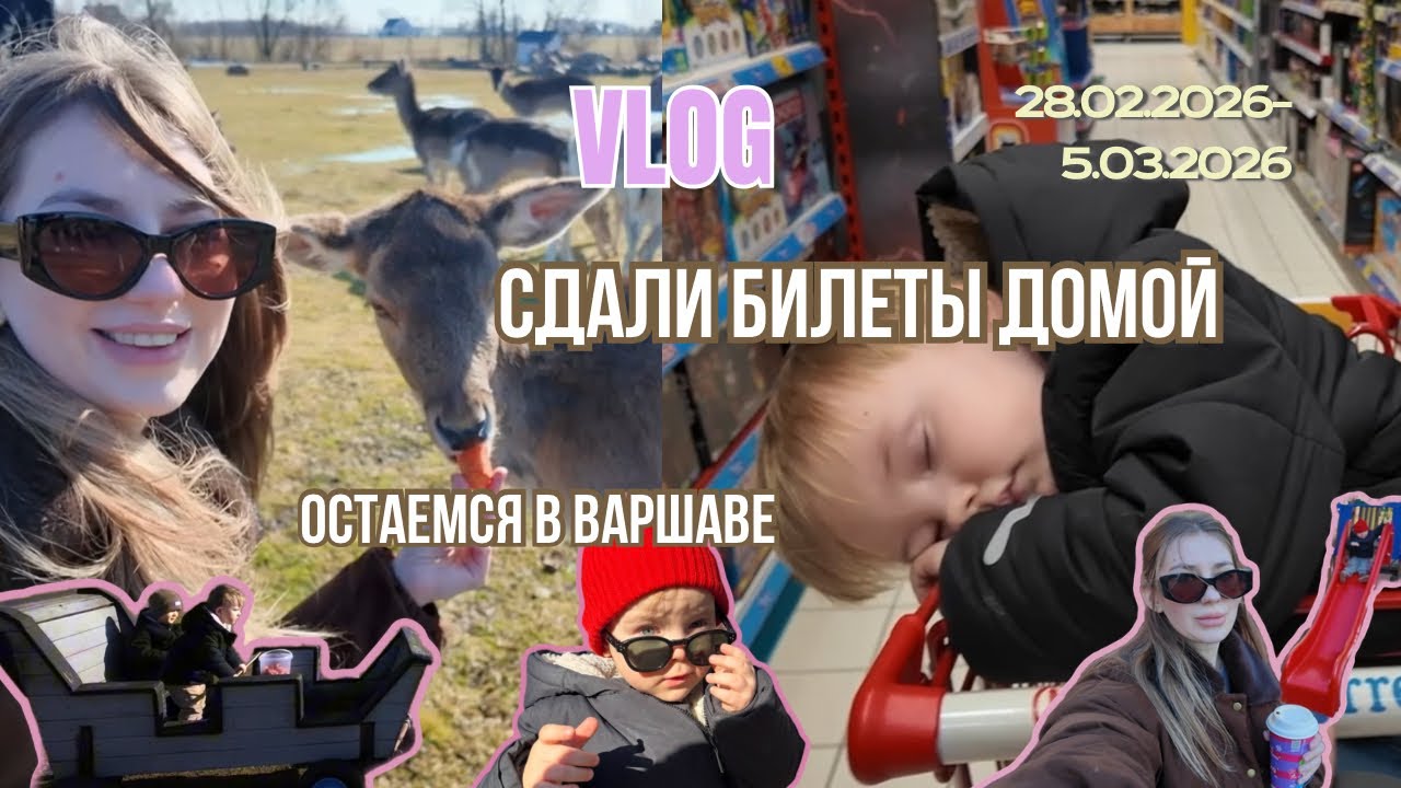 Возвращение отменяется 😱 | У сына появляются друзья в Польше | Ферма с оленями | Family vlog