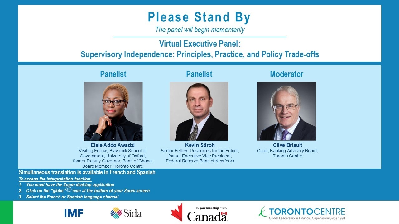 Virtual Executive Panel: Supervisory Independence: Principles, Practice, and Policy Trade-offs
