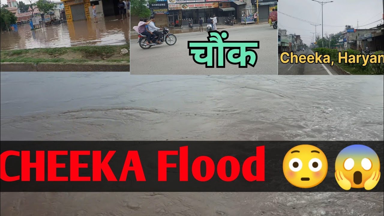 Haryana Punjab(Cheeka) Full Water in Cheeka city 😳😱 #flood #vlog #cheeka