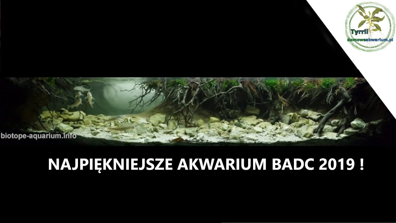 225L akwarium biotopowe. Polska -  Meandry leśnego potoku, dopływu rzeki Chodelki koło Bełżyc
