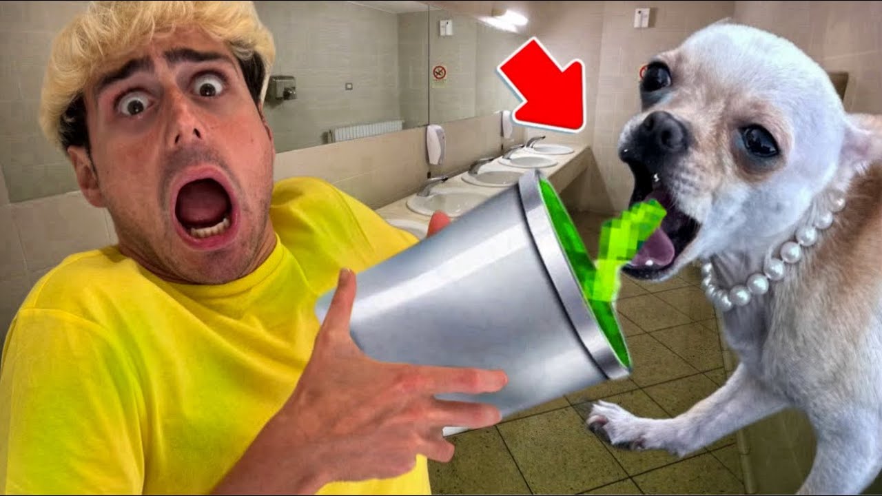 IL NOSTRO CAGNOLINO STA VOMITANDO! SI SENTE MALE…💔