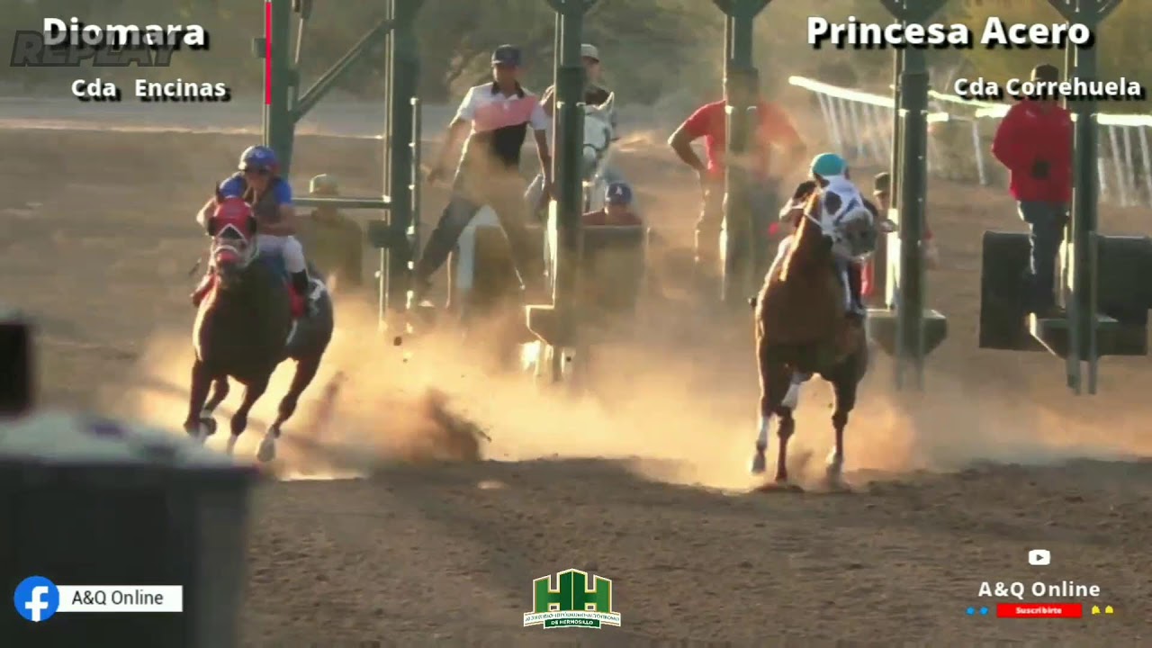 Princesa Acero vs Diomara 08/02/26