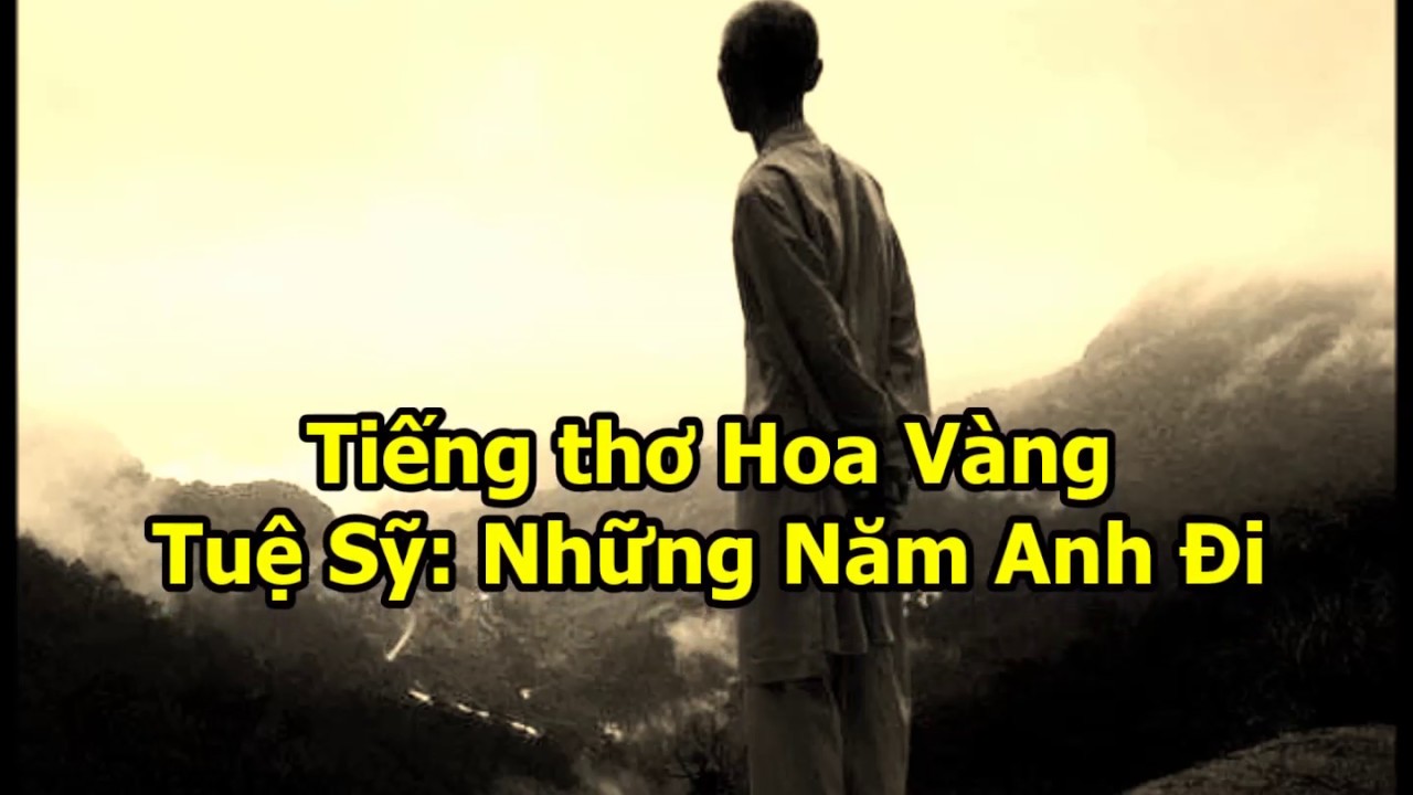 Tiếng thơ Hoa Vàng - Tuệ Sỹ: Những Năm Anh Đi (Lê Diễm Chi Huệ & BS. Trần Xuân Ninh)